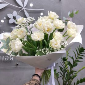 тюльпаны белые