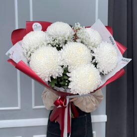 белые крымские хризантемы